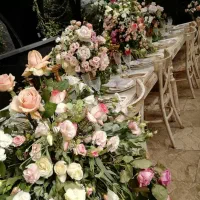 تشریفات مجالس و ظروف کرایه بنیامین