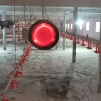 فرش‌انواع ‌مشعل گاز وگازوئیلی وجت‌هیتر ‌ومه‌پاش|آبگرمکن، پکیج، شوفاژ|بیرجند, |دیوار