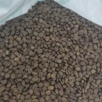 عربیکا