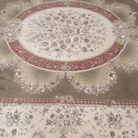 6 تا گل آپارتمانی سالم 2 تخته فرش و یک بوفه سلطنتی|صنایع دستی و سایر لوازم تزئینی|شیراز, رکن‌آباد|دیوار