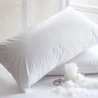 بالشت
