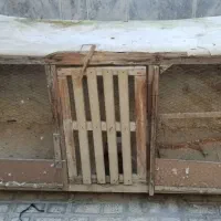 قفس کفتر بزرگ