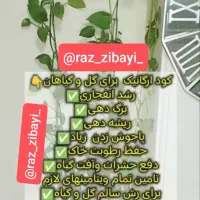 قرص کود|گل و گیاه طبیعی|سبزوار, هویزه|دیوار