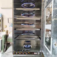 مایکروویو و کباب