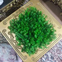 سنگ و علف تزئینی اکواریوم