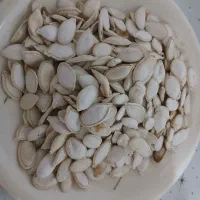 تخم کدو|عمده‌فروشی|شهرضا, |دیوار
