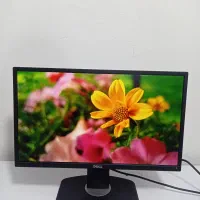 مانیتور DeLL  p2217h Ips با مهلت تست و گارانتی|قطعات و لوازم جانبی رایانه|شیراز, امام حسین|دیوار