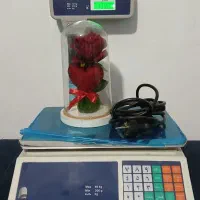 ترازو علمکدار کمری