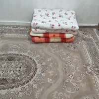 دوعددتشک پنبه و پشم شیشه ای|رختخواب، بالش، پتو|ایذه, |دیوار