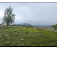 زمین-مسکونی-دراستارا