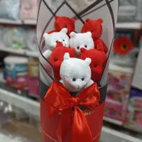 باکس عروسک کادویی (ولنتاین)