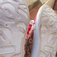 کفش|کیف، کفش، کمربند|تبریز, |دیوار