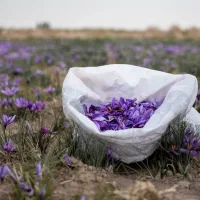 فروش-زمین-با-یک-ساعت-و-ده-دقیقه-آب