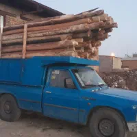 تیره چوب سقفی چوب خیس سرپاوباغی