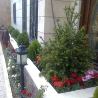 خدمات باغبانی هرسکاری گل کاری در تمام نقاط تهران|خدمات باغبانی و درختکاری|تهران, صادقیه|دیوار