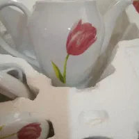 صبحانه خوری گل لاله