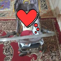 کالسکه|کالسکه و لوازم جانبی|یاسوج, |دیوار