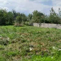 فروش۳۰۰متری/زمین باغی داخل طرح/برجاده/اطراف شفت|فروش زمین و ملک کلنگی|شفت, |دیوار