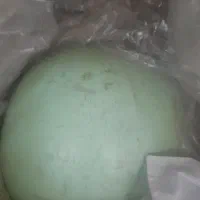 کاز سی ان جی