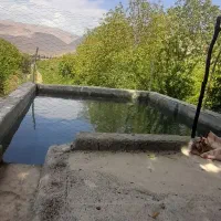 فروش-باغ-بیدسرخ