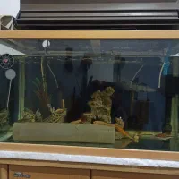 فروش آکواریوم