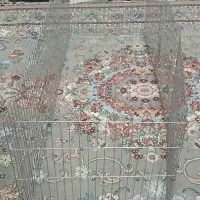 قفس/پارک حیوانات|لوازم جانبی حیوانات|اقبالیه, |دیوار