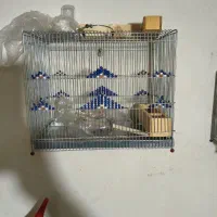 سهره