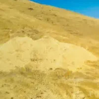 فروش علف