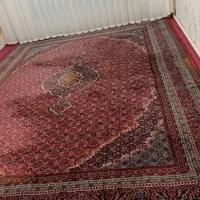 فرش ماشینی ۱۲متری|فرش|مشگین شهر, |دیوار