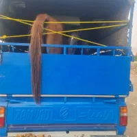 اسبکش|اسب و تجهیزات اسب‌سواری|کرمانشاه, |دیوار