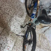 دوچرخه راپیدو|دوچرخه، اسکیت، اسکوتر|گنبد کاووس, |دیوار