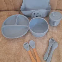 ظروف سیلیکونی