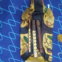 نی انبان حرفه ای