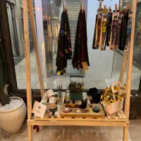 دومدل رگال چوب نراد