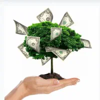 سرمایه گذاری میشود