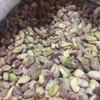 پسته اکبری از تولید به مصرف|عمدهفروشی|خلخال, |دیوار