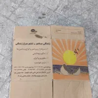 کارتون تخم مرغ|عمدهفروشی|کبودرآهنگ, |دیوار