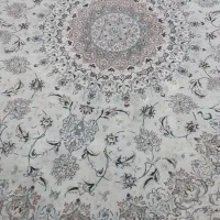 فرش وقالی دوازده متری|فرش|اصفهان, ملاصدرا|دیوار