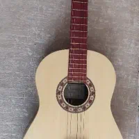 گیتار رزونانس h320