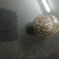انگشتر سلطانی غول پیکر