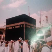 فروش فیش آخر ۸۵