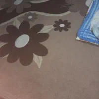 ۲ عدد قالی ۹متری|فرش|اهواز, باغ شیخ|دیوار