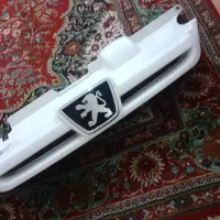 جلو پنچره پژو