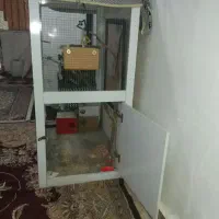 شادگان