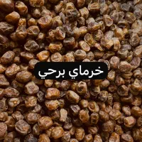 خرما و شیره خرمای جنوبی