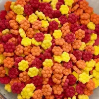 راهنمایی میخوام