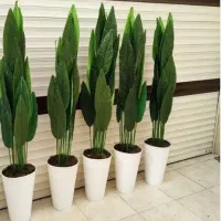 گلدان برگ پرنده بهشتی و پتوس