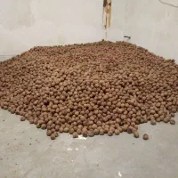 گردوسفید مقدارمحدود