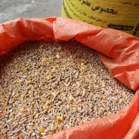 خوراک دام و دان طیور|لوازم جانبی حیوانات|تالش, جوکندان|دیوار