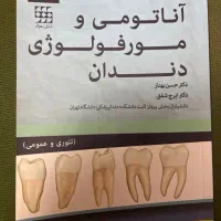 آناتومی و مورفولوژی دندان